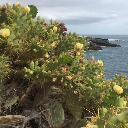 Wonderful View Апартаменты Адехе