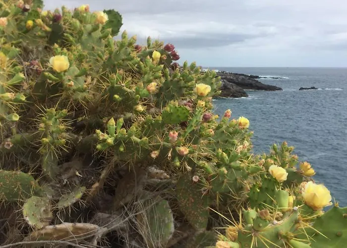 Wonderful View Апартаменты Адехе