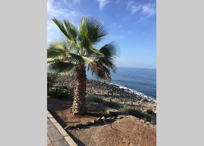 Апартаменты Wonderful View *